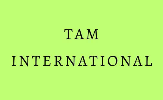 taminternationalus.com